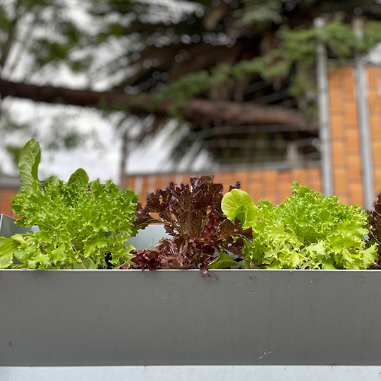 Seasonal Planting & Propagation Workshop